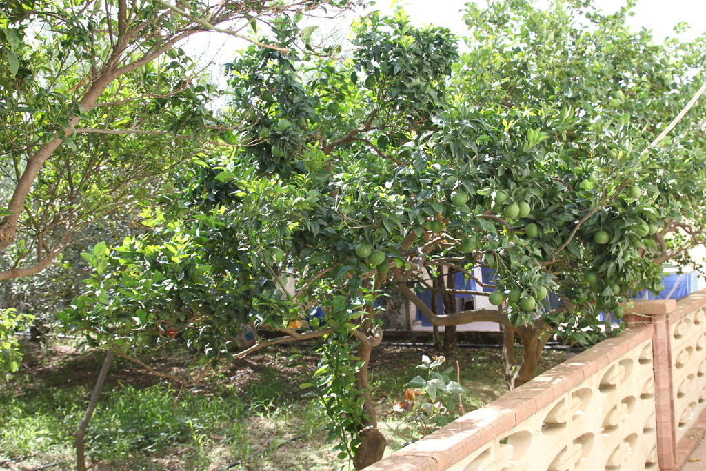 B&B Giarrizzo Licata Exterior foto